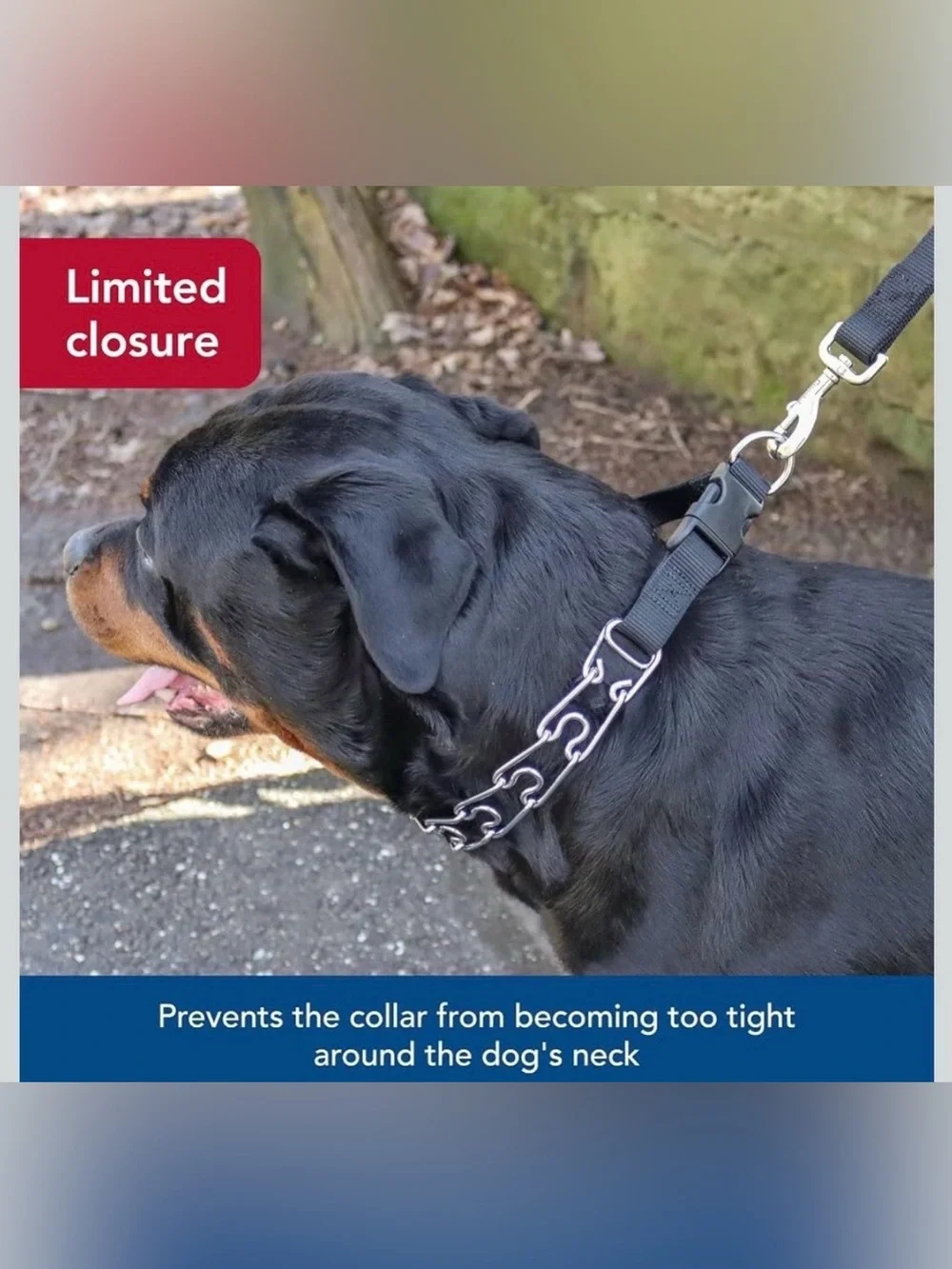 Collar for Dogs - Durable Metal Dog Collar - Training Collar with Side Release B